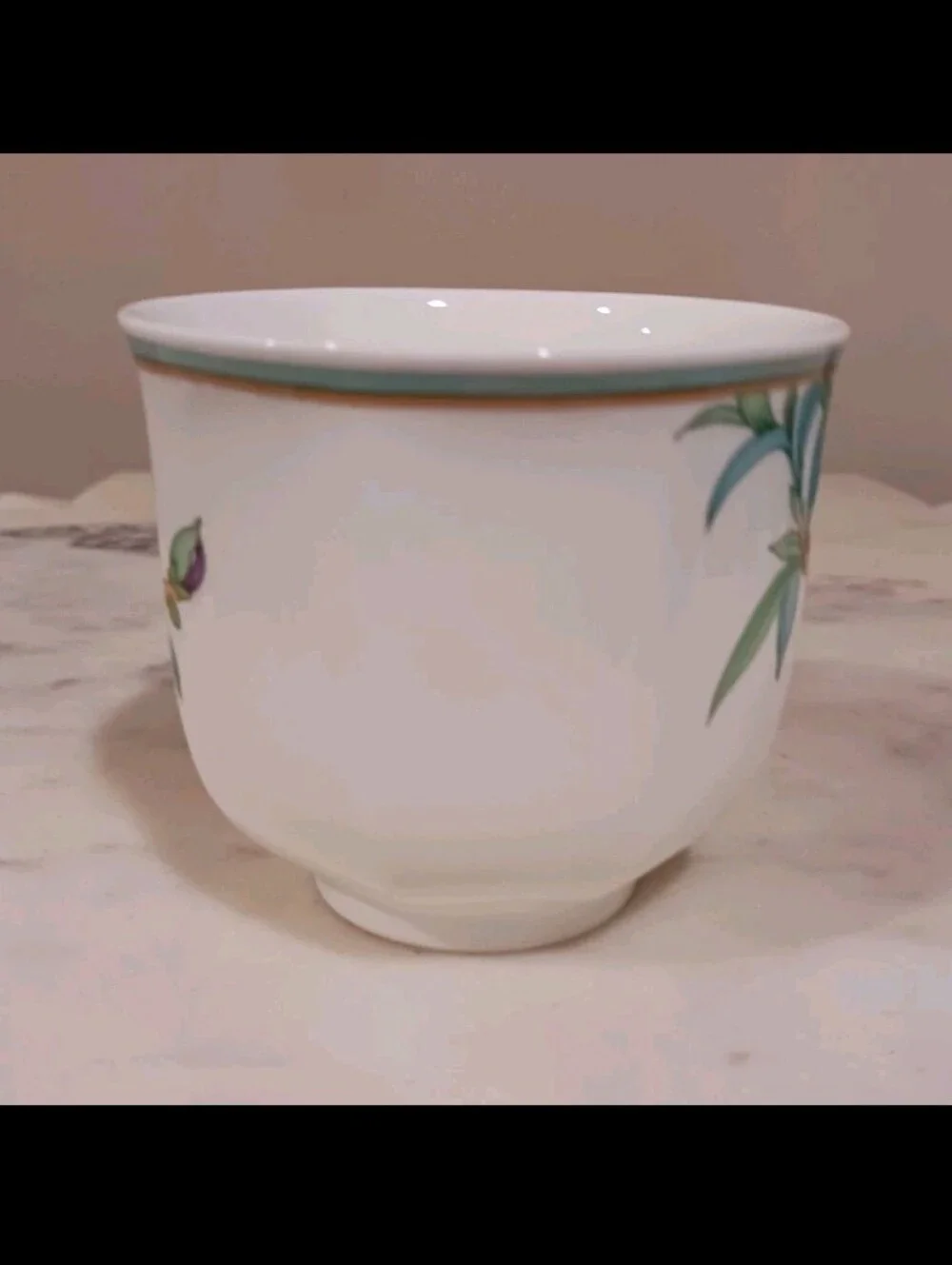 Heinrich Villeroy & Boch 8-PC Amazona Tea Cup & Saucer Set